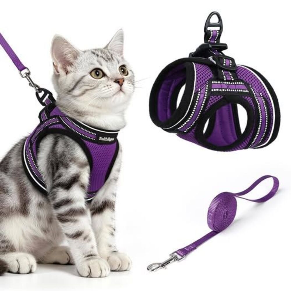 rabbitgoo Cat Harness and Leash Set, Step-in Soft Vest, Purple